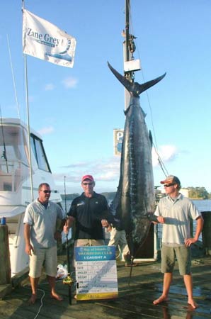 400lb Striped Marlin