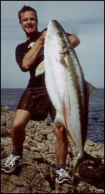 Trophy Kingfish Captured From Shore